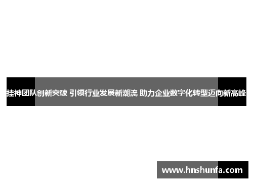 挂神团队创新突破 引领行业发展新潮流 助力企业数字化转型迈向新高峰